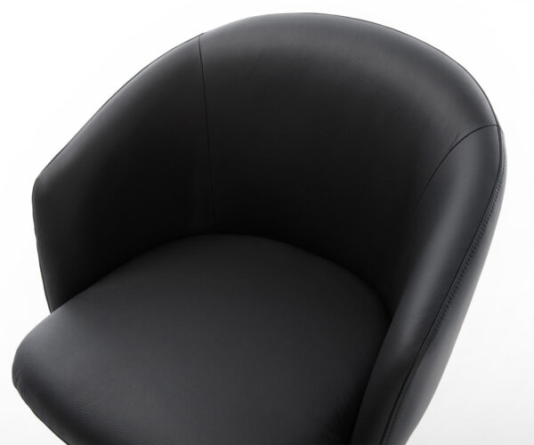 Jedálenská stolička Caja-Flex s podrúčkami, krížová základňa, kovový efekt, titan, pravá koža, čierna - Image 4